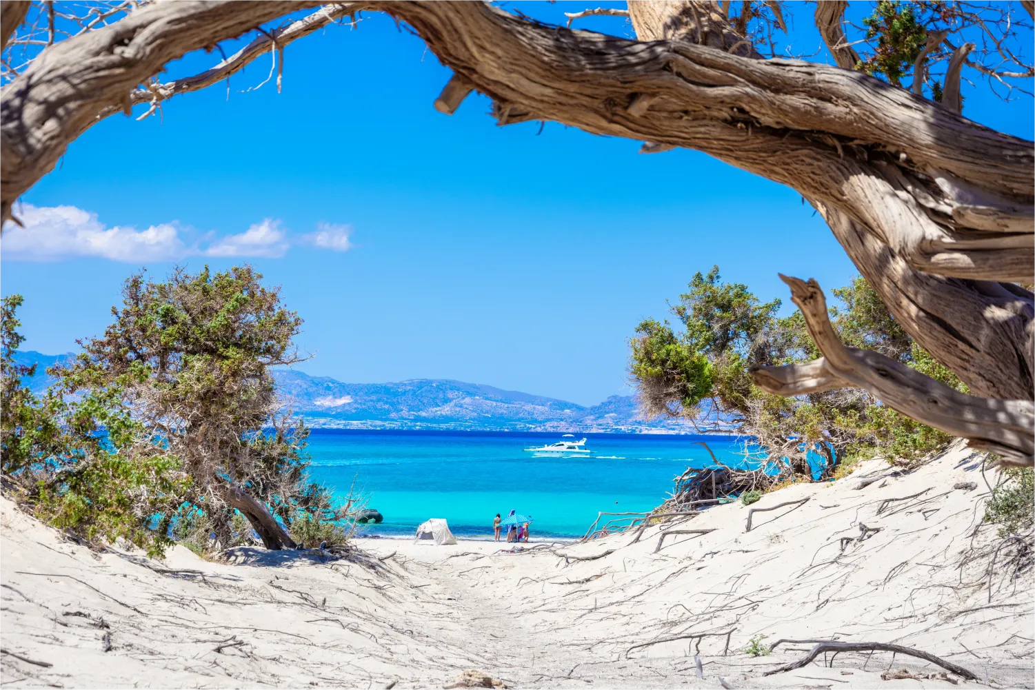 Η παραλία Κεδρόδασος στην Κίσσαμο Κρήτης